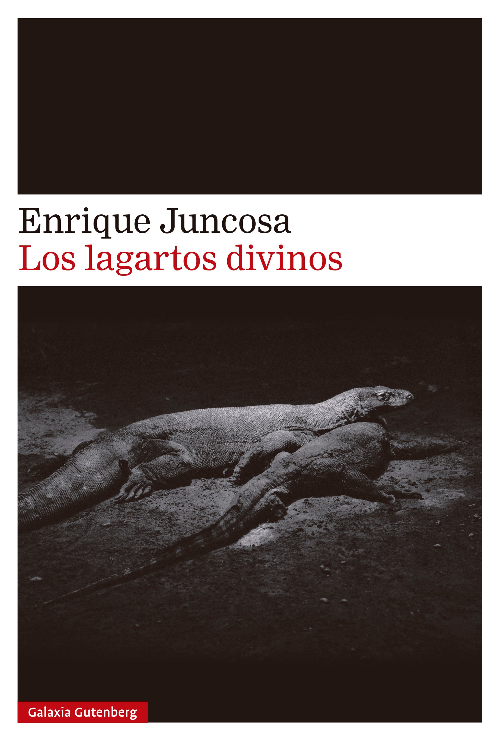Los lagartos divinos (Galaxia Gutenberg, S.L.) 9788410107526 Imagen principal del producto