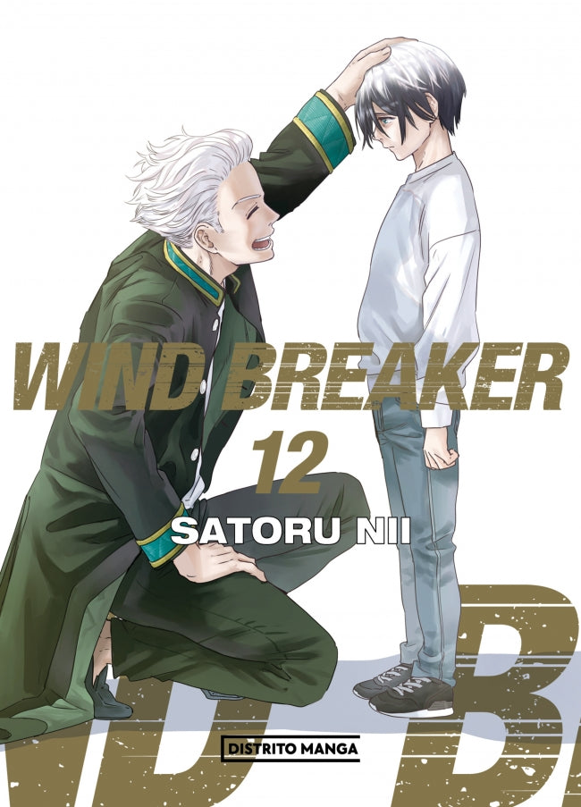 Wind Breaker 12 (Shônen)
