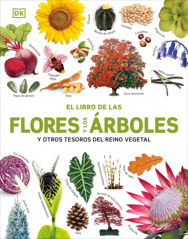 El libro de las flores y los árboles: ... y otros tesoros del reino vegetal Imagen principal del producto