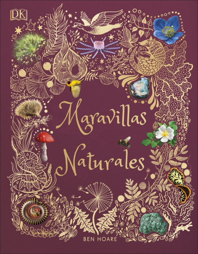 Maravillas naturales (Planeta curioso) Imagen principal del producto