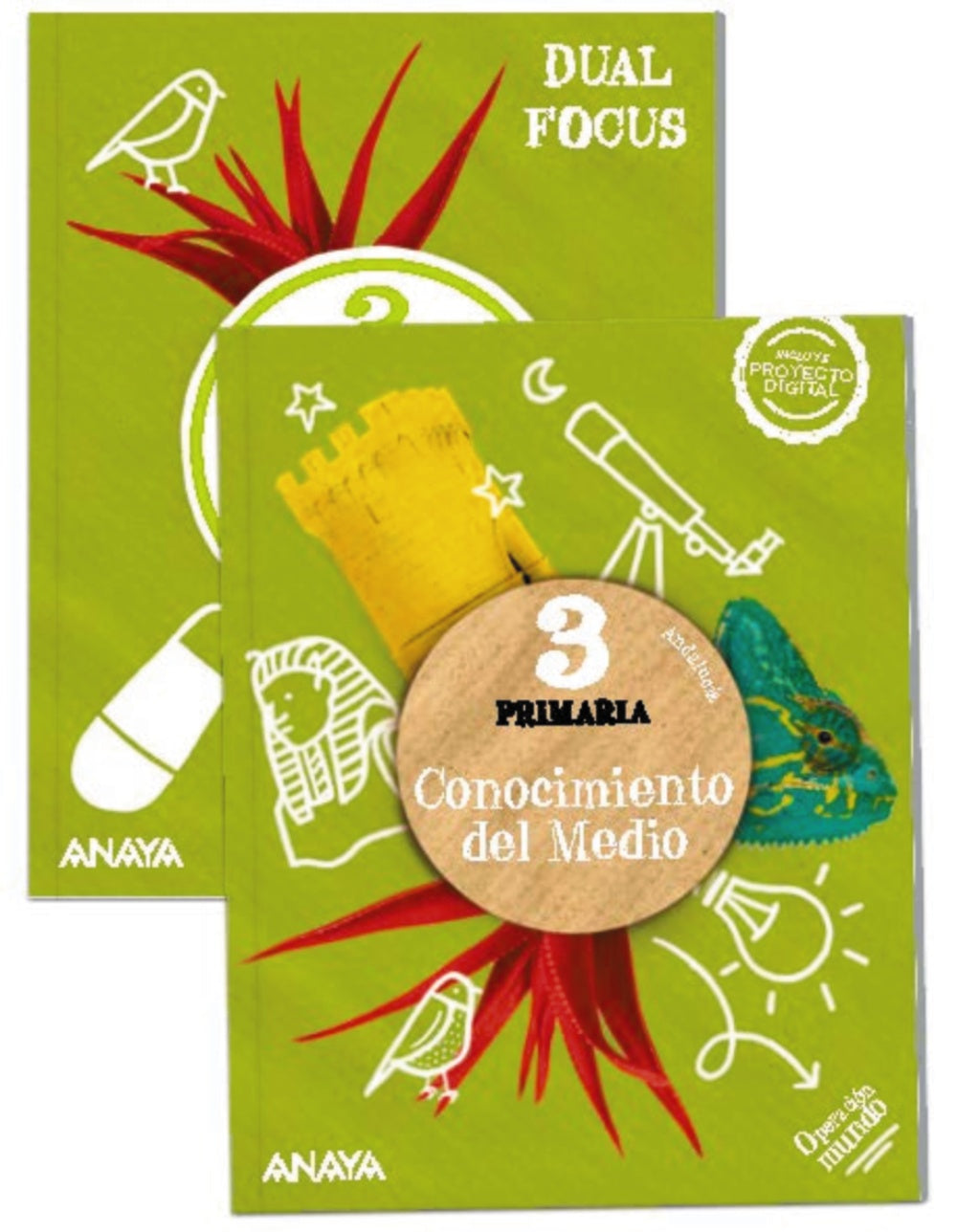 Conocimiento del Medio 3. + Science 3. Dual focus (3º Primaria) Operación Mundo | Varios autores | 9788414300497 (ANAYA TEXTO)