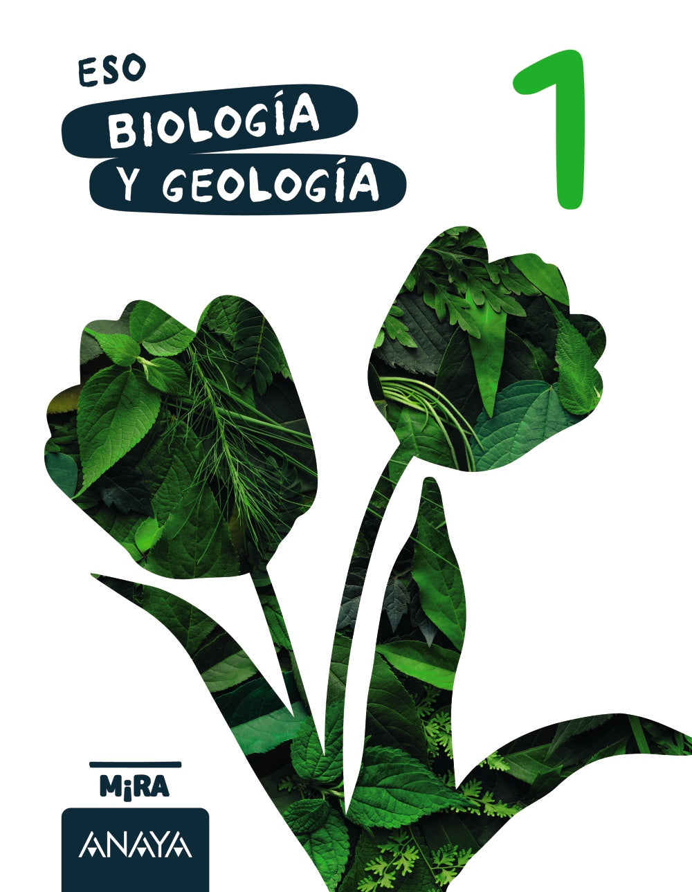 Biología y Geología 1. Grupo Anaya (ANAYA EDUCACIÓN) 9788414355718 Imagen principal del producto