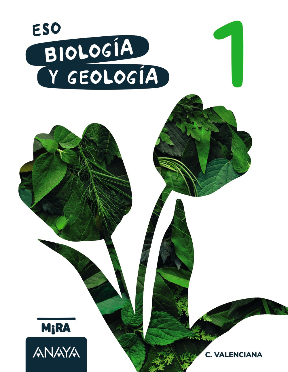 Biología y Geología 1. Grupo Anaya (ANAYA EDUCACIÓN) 9788414355794 Imagen principal del producto