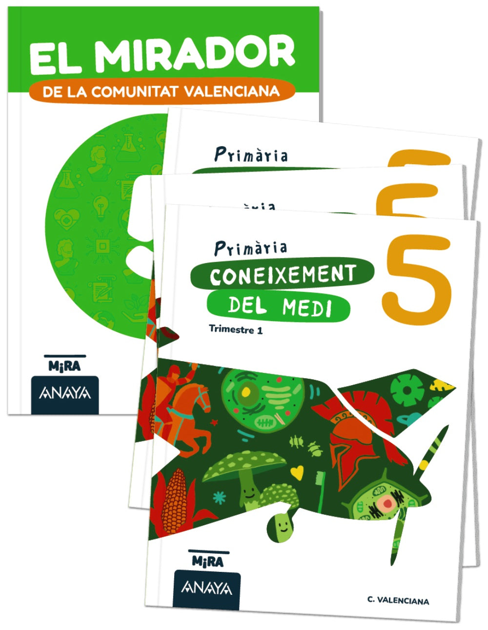 Coneixement del medi 5 + El mirador de la Comunitat Valenciana. Grupo Anaya (ANAYA EDUCACIÓN) 9788414361399