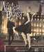 The witch and the beast 1