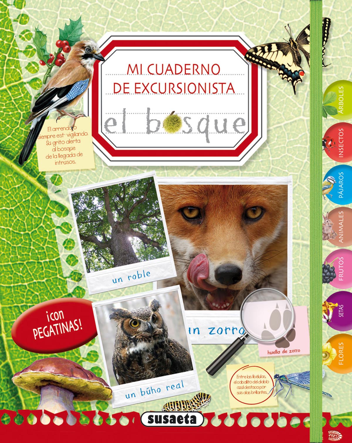 El Bosque Imagen principal del producto
