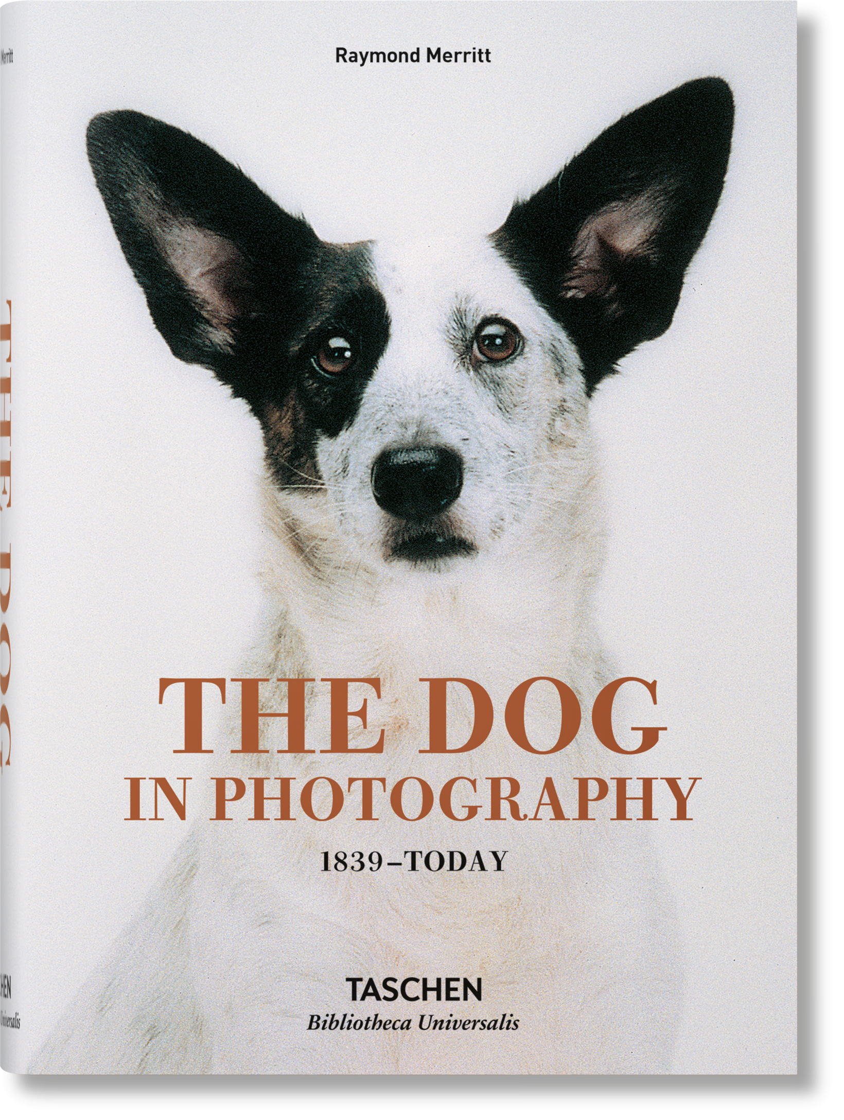 The Dog in Photography 1839–Today Imagen principal del producto