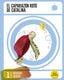 EP 1 - Cuad Vacaciones (Edelvives Texto) - 9788414002698