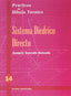 P.D.T. Nº 14: Sistema diédrico directo. Gonzalo Gonzalo, Joaquin (Editorial Donostiarra, S.A.) 9788470633805