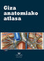 Giza Anatomiako Atlasa (Euskal Herriko Unibertsitatea) - 9788498609677