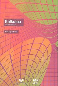 Kalkulua. Ariketa ebatziak. Angulo Martin, Patxi (Udako Euskal Unibertsitatea) 9788484386421 Imagen principal del producto