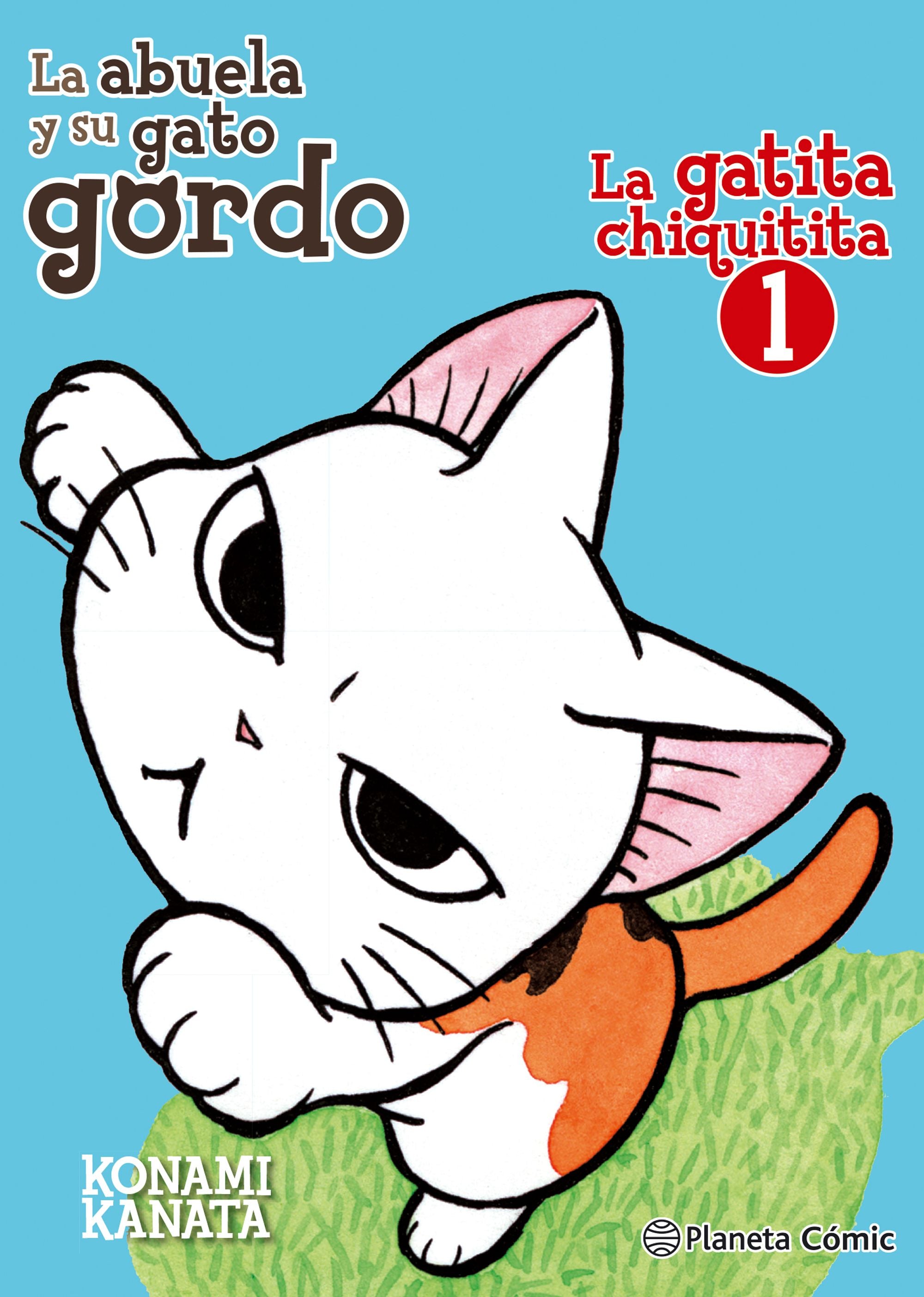 La gatita chiquitita nº 01/02: La abuela y su gato gordo
