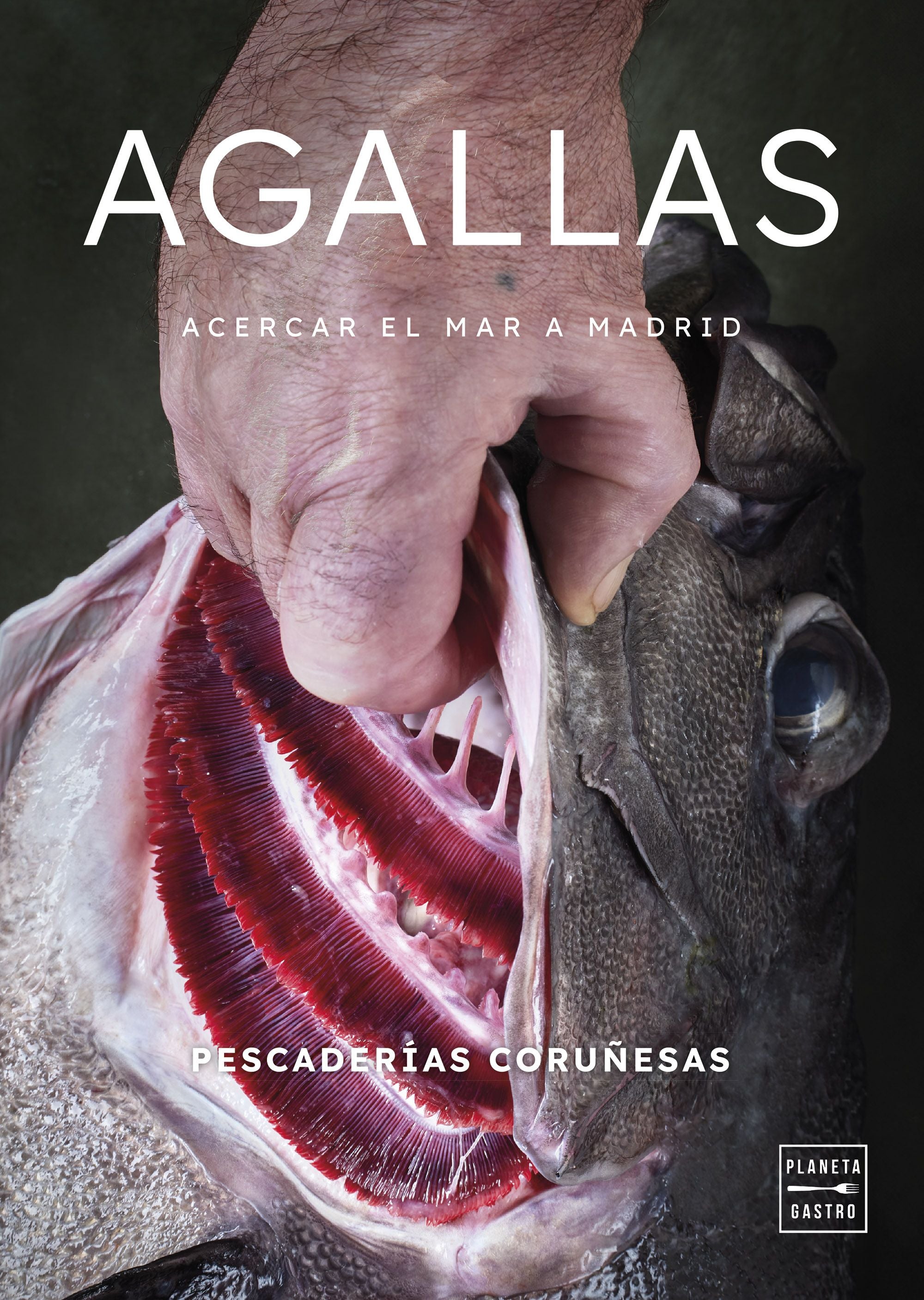 Agallas. Pescaderías Coruñesas (Planeta Gastro) 9788408291671 Imagen principal del producto