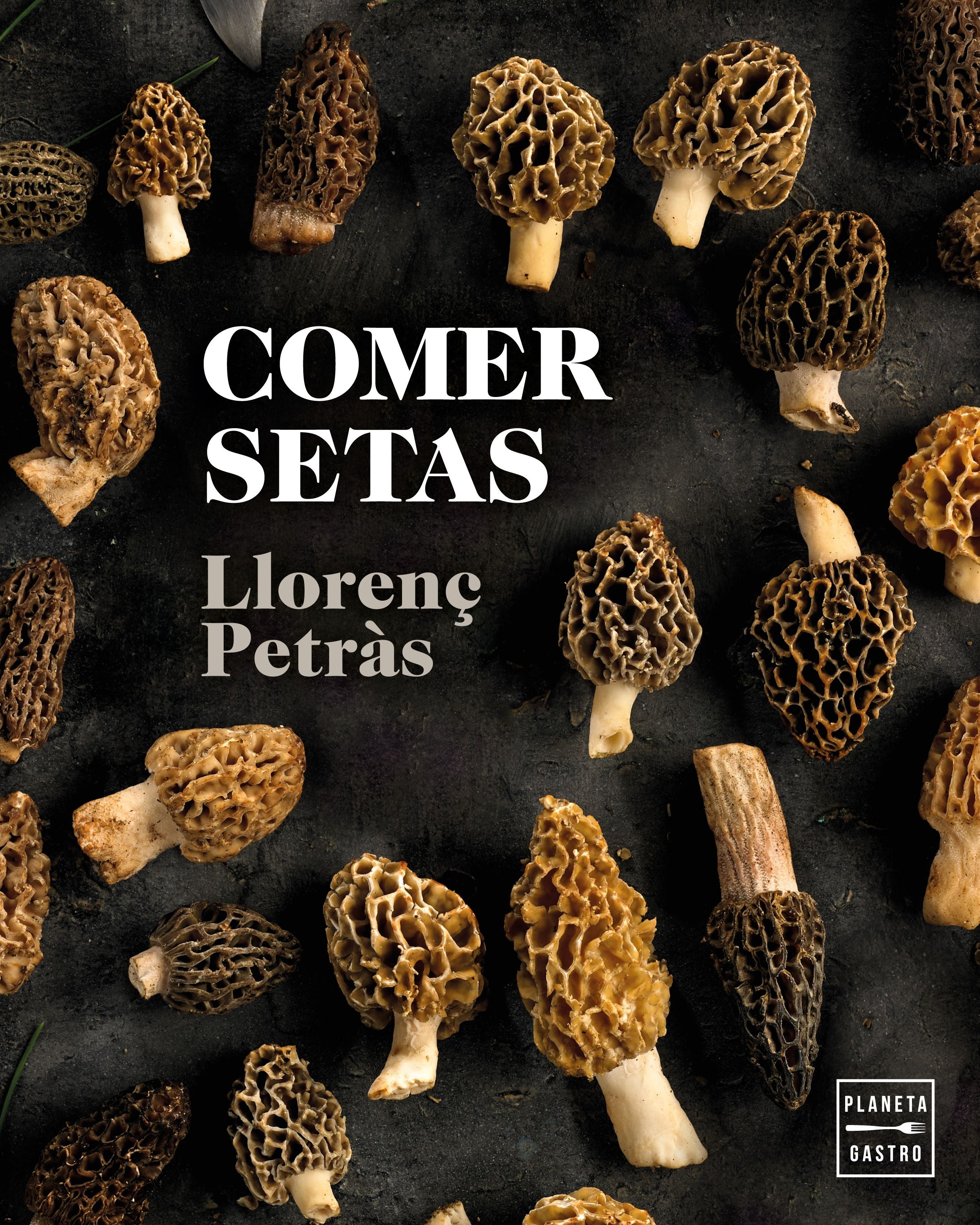 Comer setas. Llorenç Petràs (Planeta Gastro) 9788408216711 Imagen principal del producto