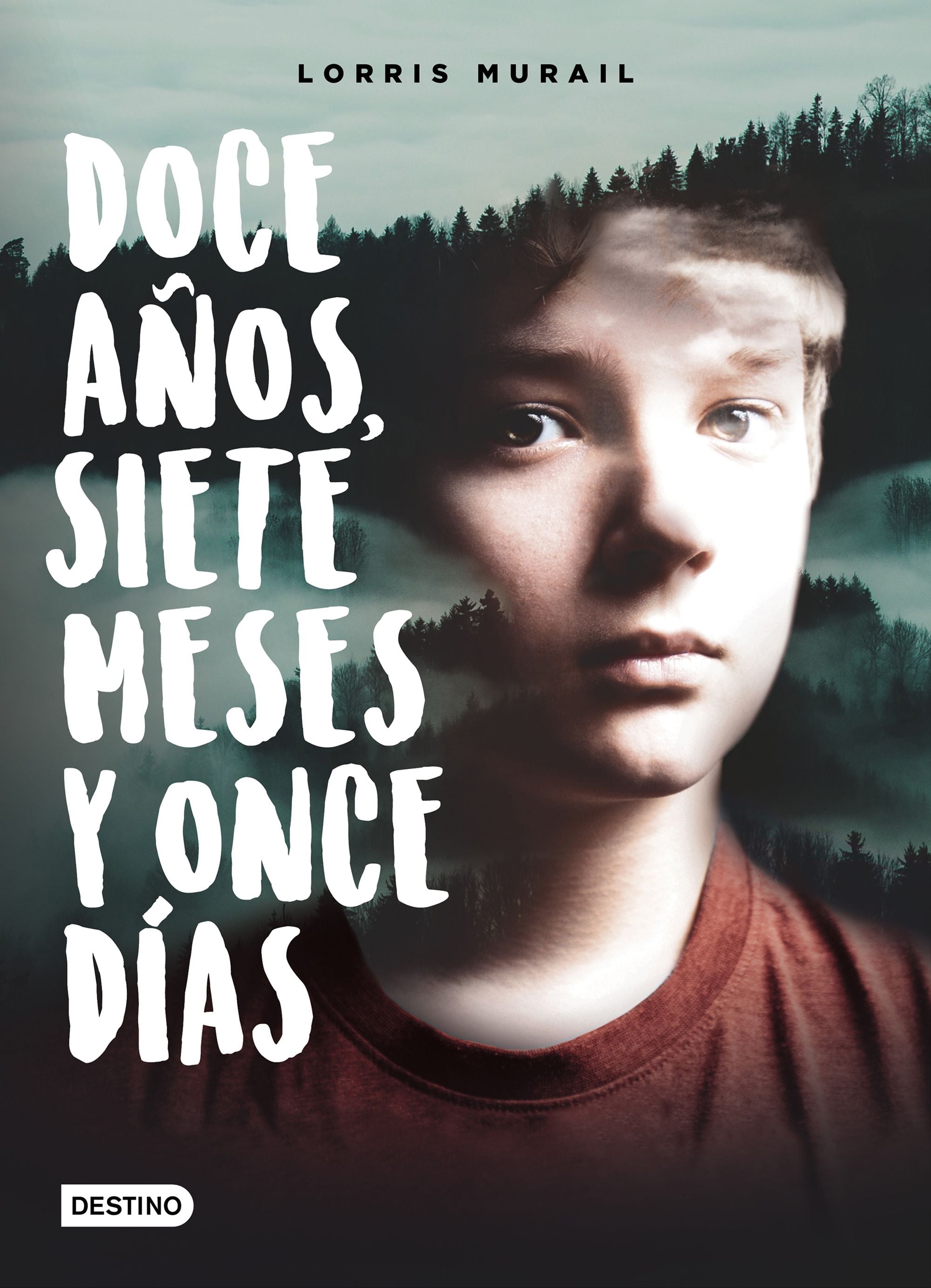 Doce años, siete meses y once días Imagen principal del producto