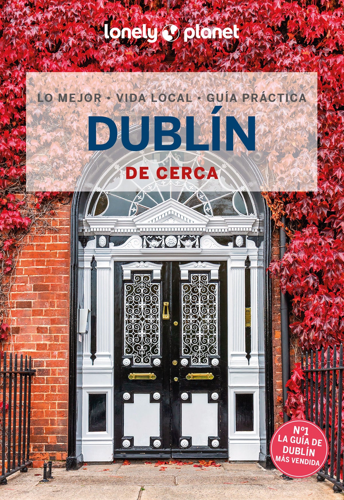 Dublín de cerca 5. Neil Wilson (GeoPlaneta) 9788408287209