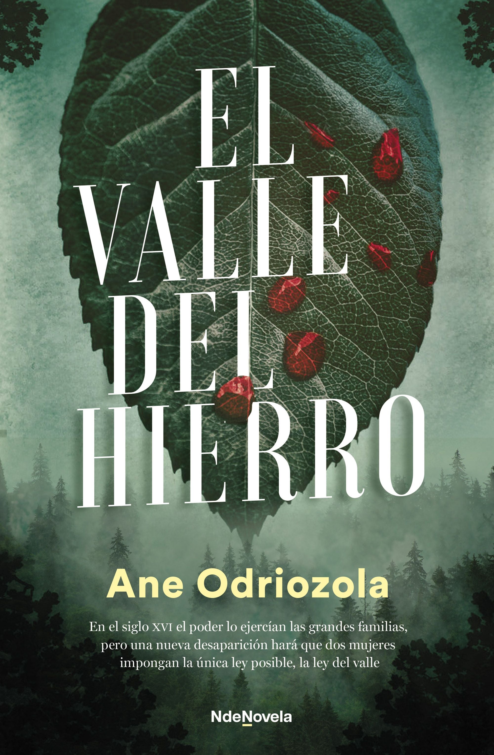 El valle del hierro. Ane Odriozola (NdeNovela) 9788410140035 Imagen principal del producto