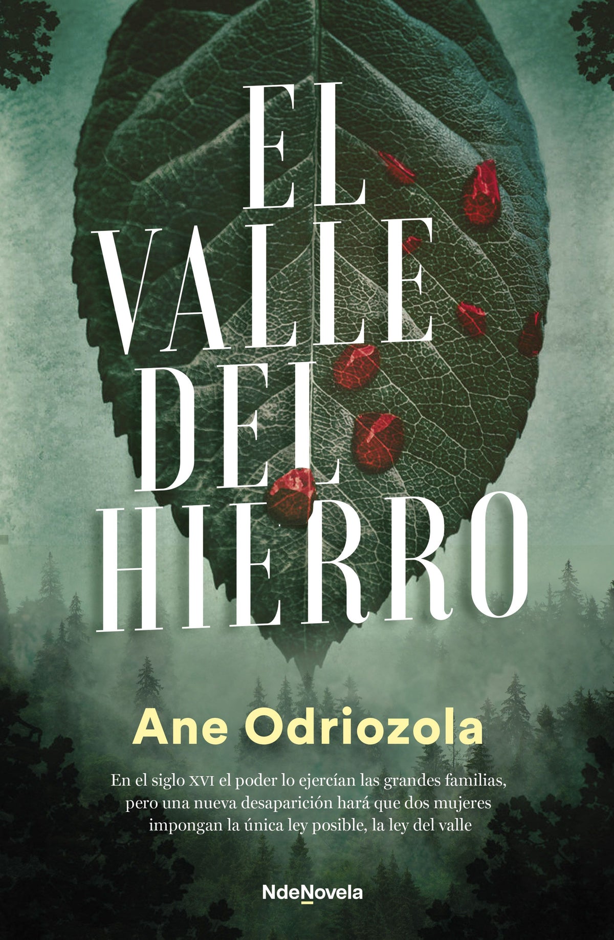 El valle del hierro. Ane Odriozola (NdeNovela) 9788410140035