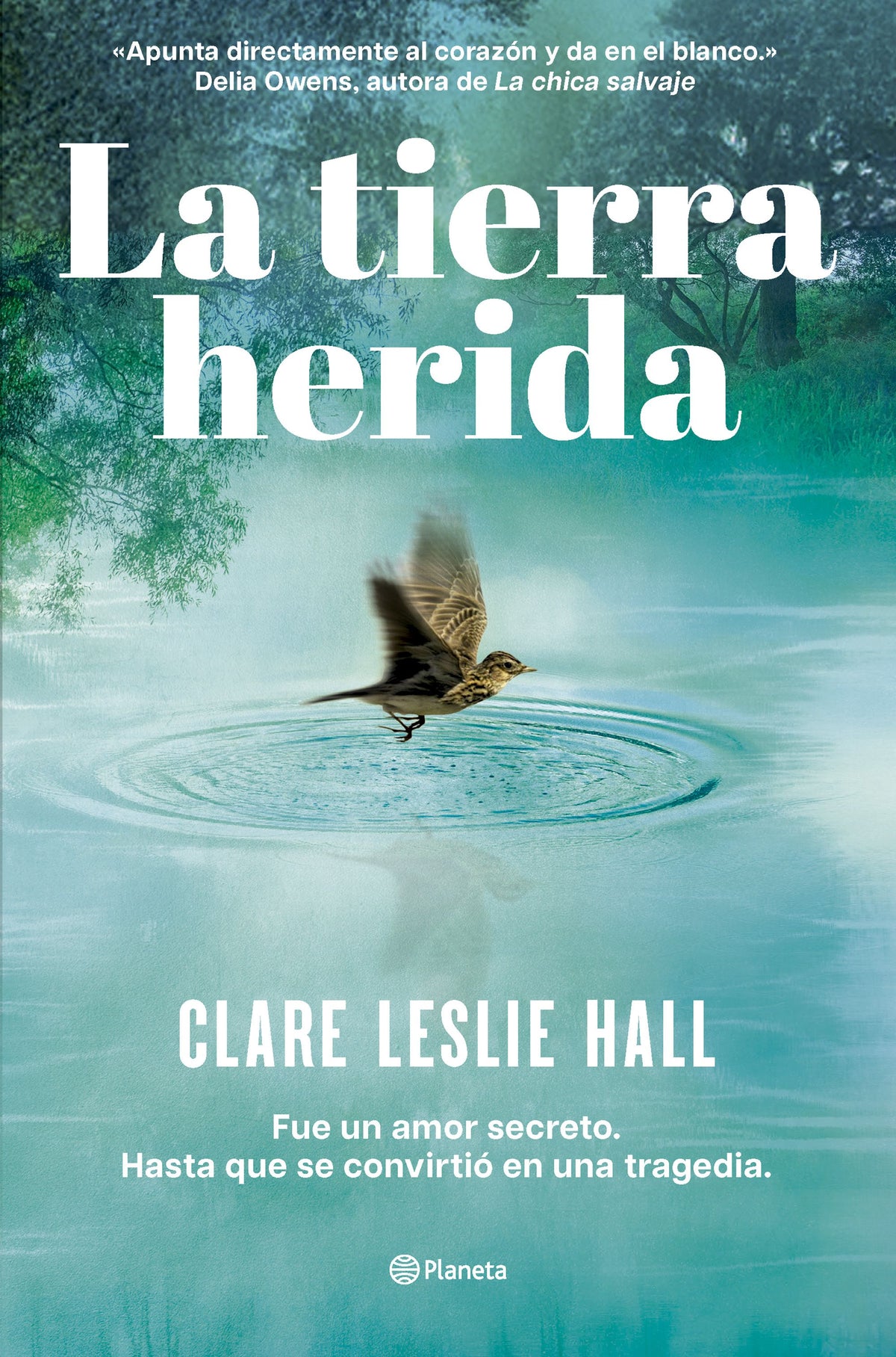 La tierra herida: La historia de amor más adictiva del año. Clare Leslie Hall (Editorial Planeta) 9788408309727