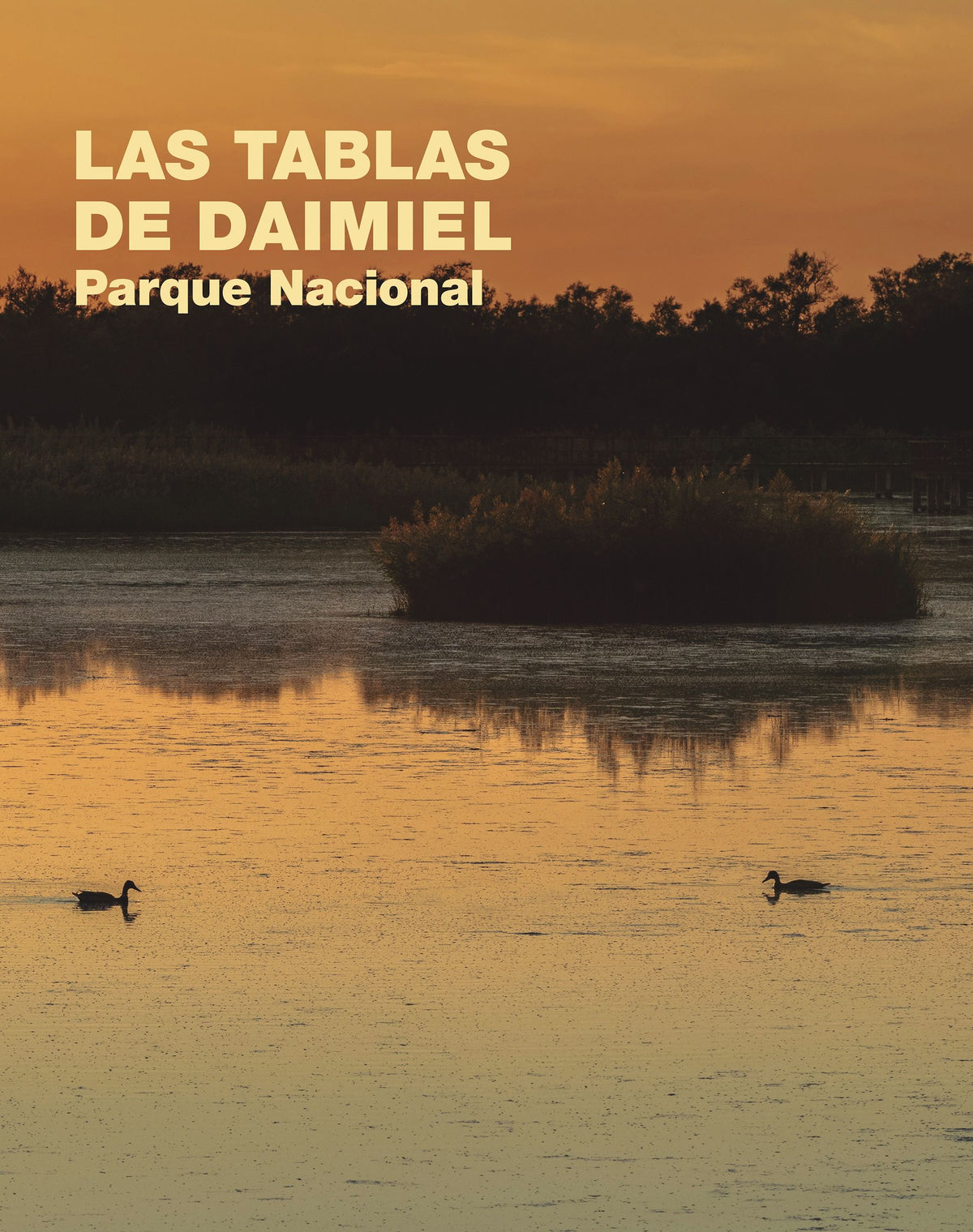 Las Tablas de Daimiel. Parque Nacional. Varios Autores (Lunwerg Editores) 9788408283249