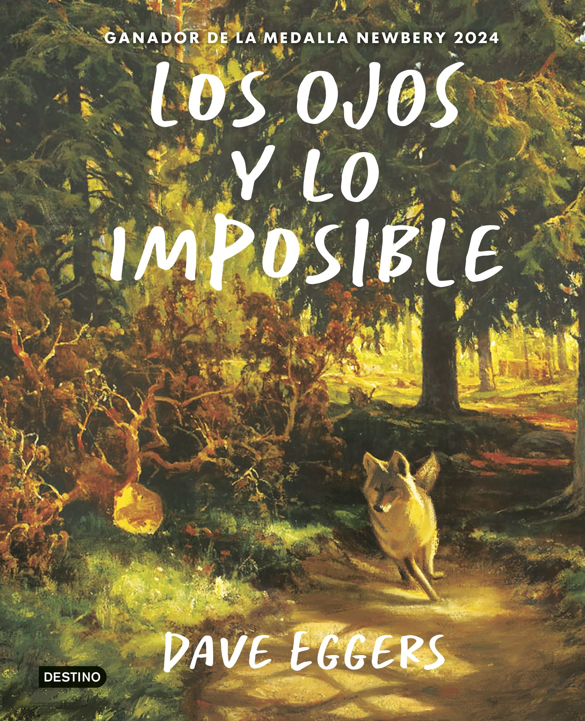 Los Ojos y lo imposible. Dave Eggers (Destino Infantil & Juvenil) 9788408309413 Imagen principal del producto