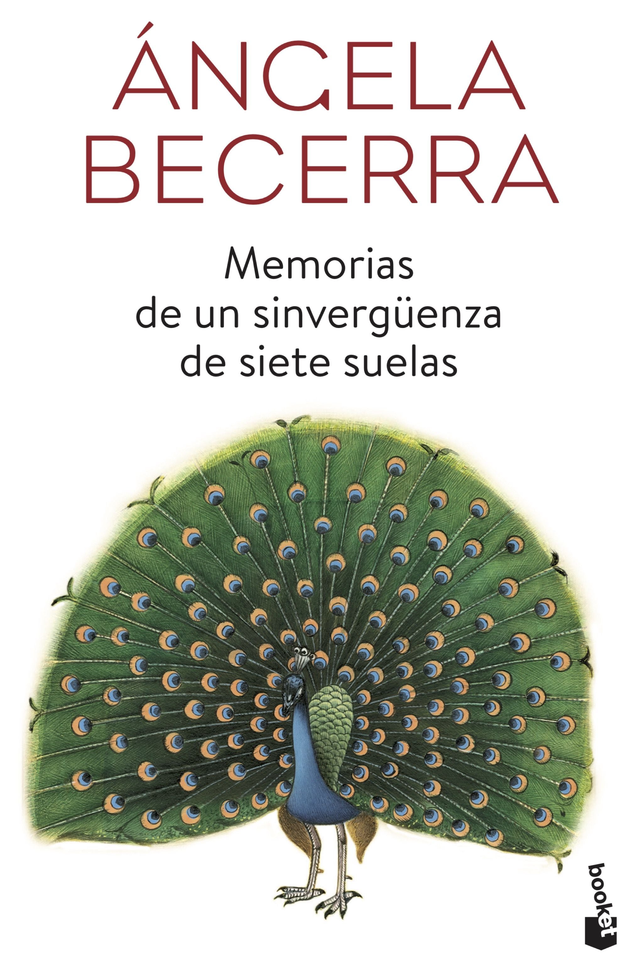 Memorias de un sinvergüenza de siete suelas Imagen principal del producto