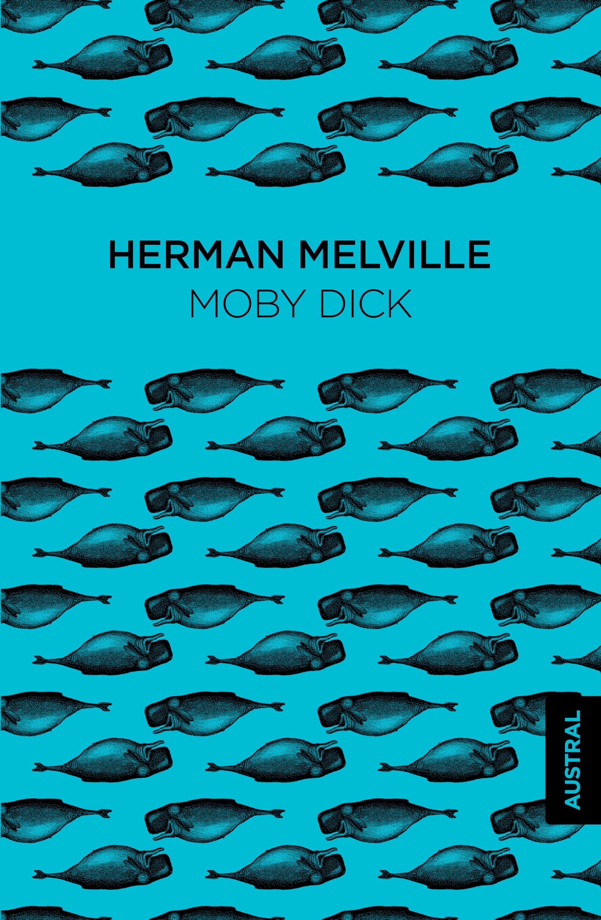 Moby Dick Imagen principal del producto