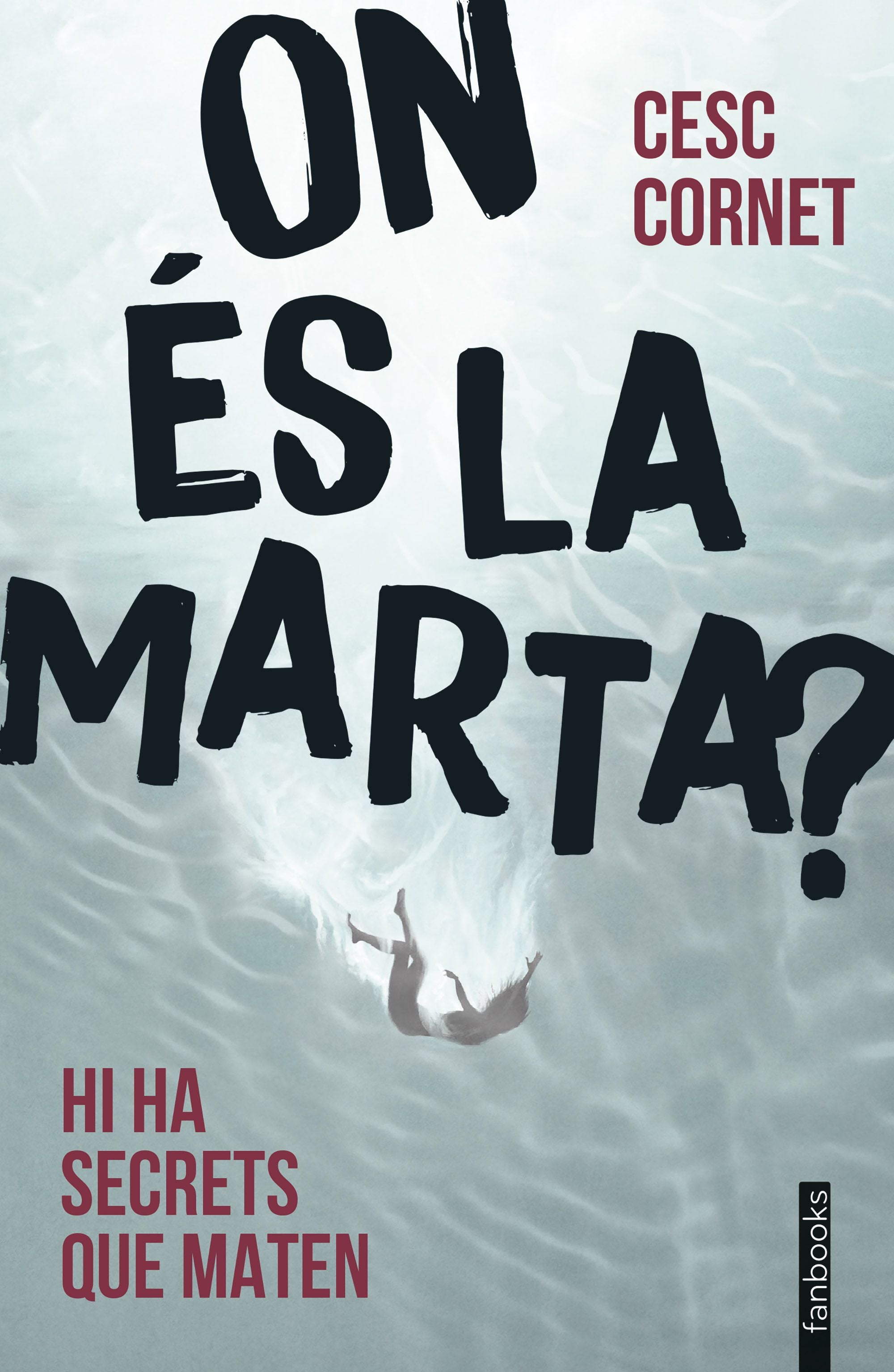 On és la Marta?. Cesc Cornet (fanbooks) 9788410028043 Imagen principal del producto