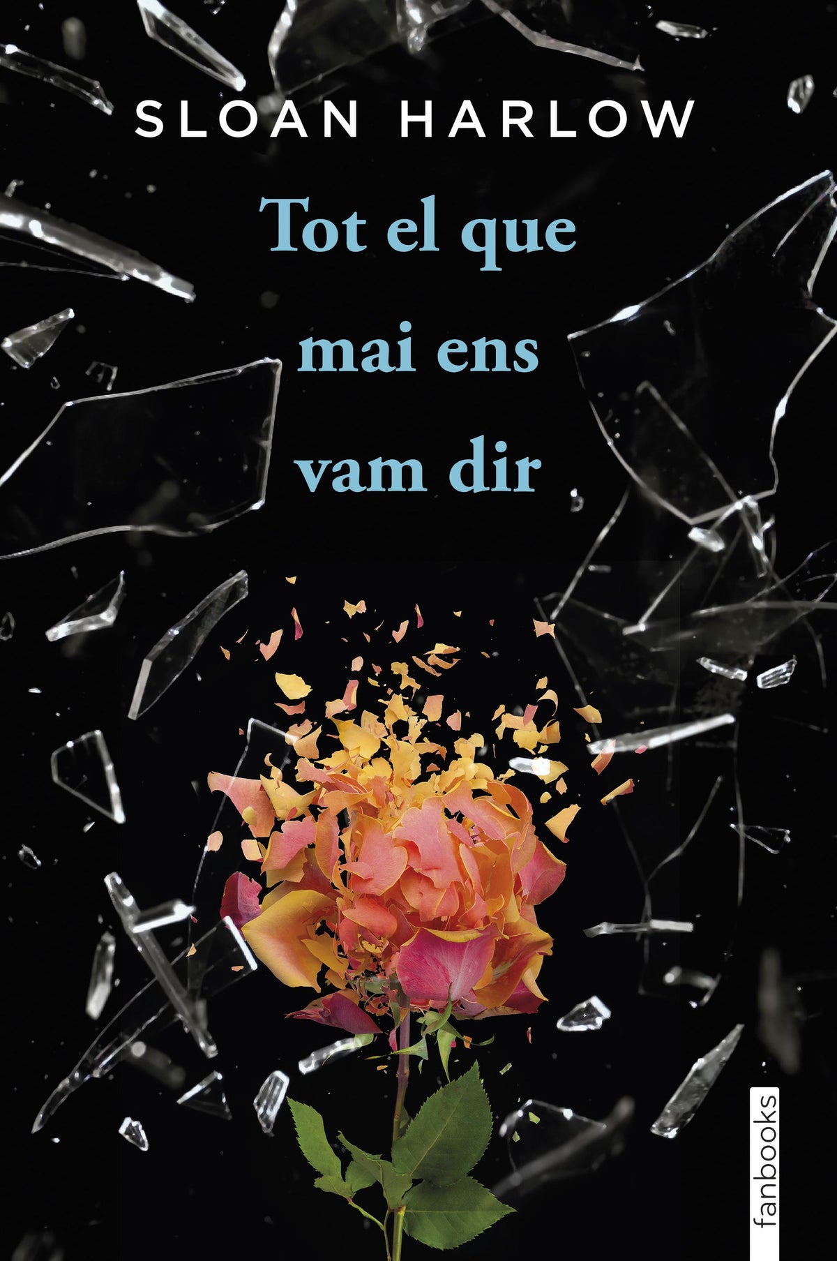 Tot el que mai ens vam dir. Sloan Harlow (fanbooks) 9788410028135