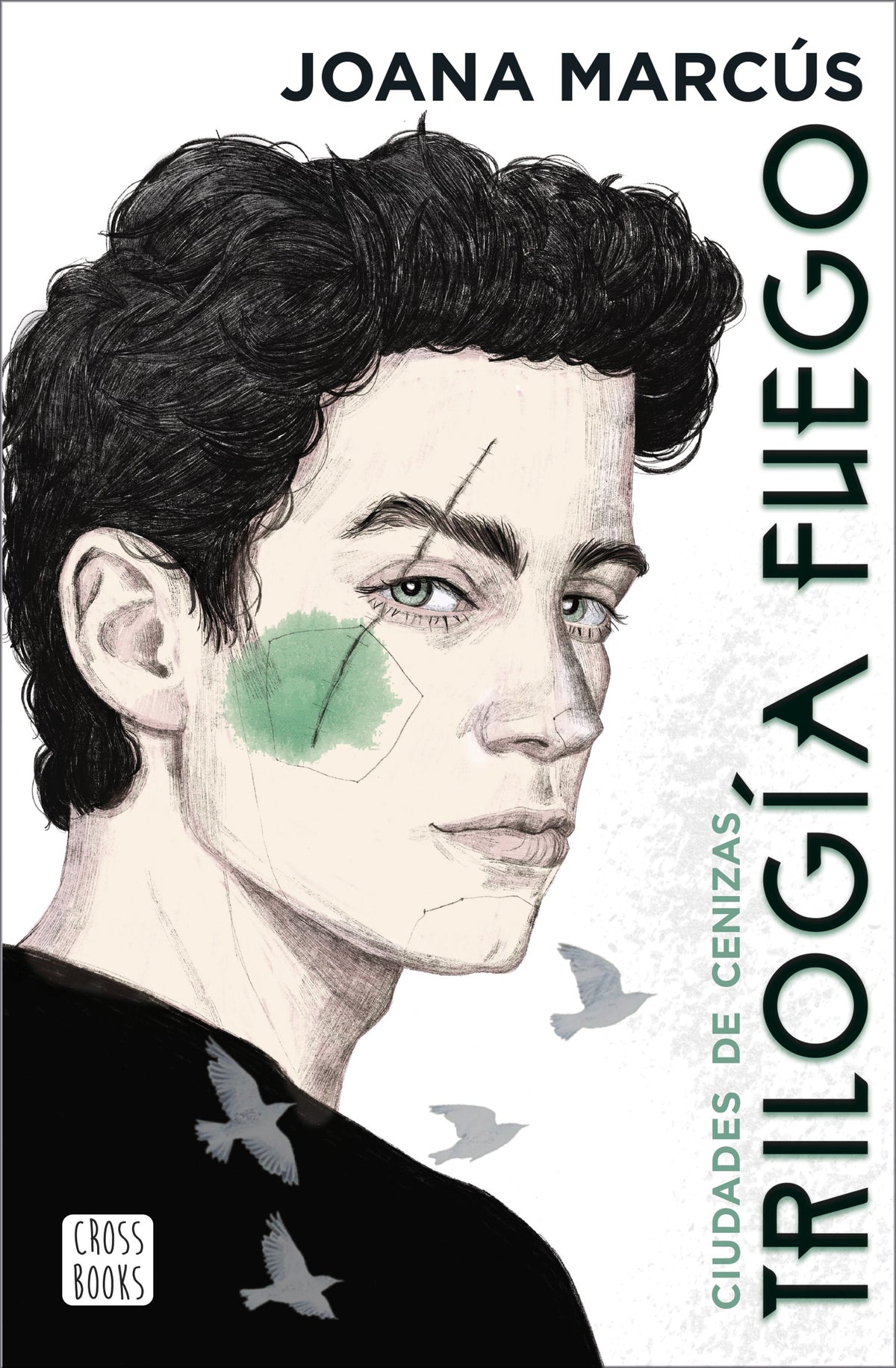 Trilogía Fuego 2. Ciudades de cenizas. Joana Marcús (Crossbooks) 9788408253846