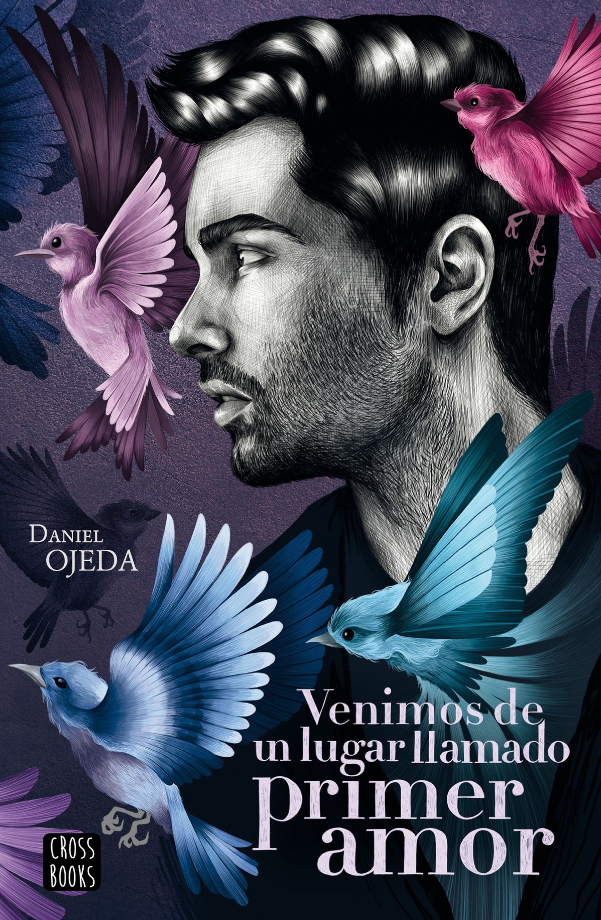 Venimos de un lugar llamado primer amor. Daniel Ojeda Checa (Crossbooks) 9788408224877
