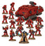 ✅ Patrulla de Combate: Blood Angels